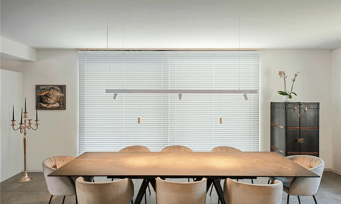SLV track spot IN-LINE 22 TRACK 48V DARKLIGHT REFLECTOR DALI controllable IP20, white dimmable SLV track spot IN-LINE 22 TRACK 48V DARKLIGHT REFLECTOR DALI controllable IP20, white dimmable