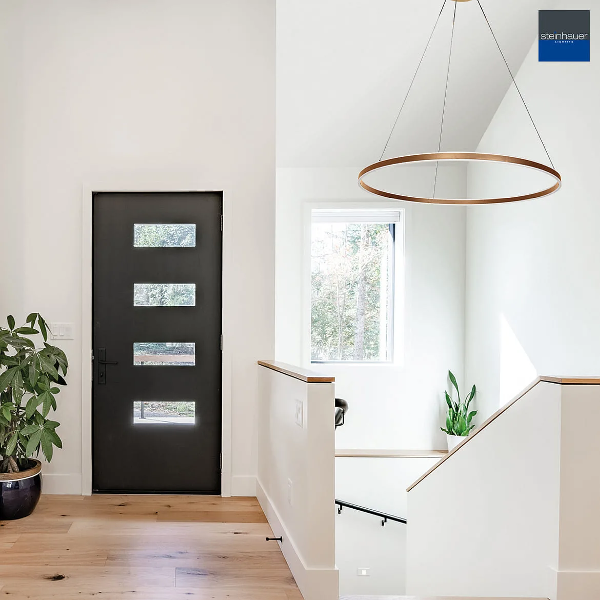 Steinhauer Luminaria colgante RINGLUX Arriba-Abajo IP20, dorado regulable Steinhauer Luminaria colgante RINGLUX Arriba-Abajo IP20, dorado regulable