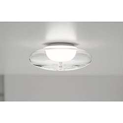 Luminaria de techo BLOO IP20, cristalino, mate, blanco opalino regulable