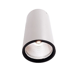Luminaria de techo LUNA 40 IP20, claro, transparente, blanco mate