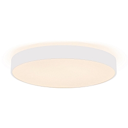 Luminaria de pared y techo MENKAR 40 IP20, blanco