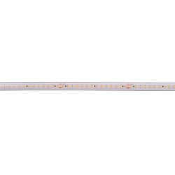 Tira LED 2835-140-48V-SILIKON blanco