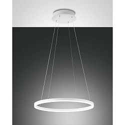 Luminaria colgante GIOTTO simple IP20, satinado, blanco regulable