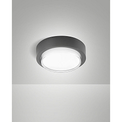 Luminaria de techo para exteriores OWEN IP65, plomo oscuro