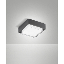 Luminaria de techo para exteriores DIUK IP65, plomo oscuro