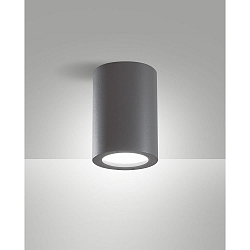Luminaria de techo para exteriores MANU E27 IP54, plomo oscuro