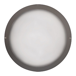 Luminaria de pared para exteriores IP65, antracita 