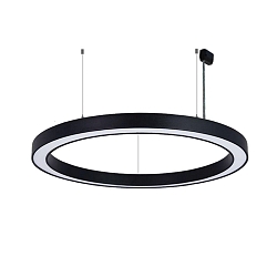 Luminaria colgante � 98CM CCT Switch, directo / indirecto, UGR < 19, multipower, forma del anillo IP40, blanco 