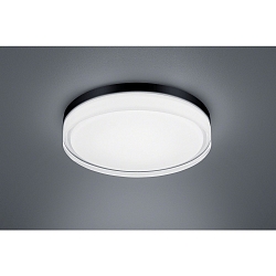 Luminaria de techo TANA IP44, negro mate, semisatinado 