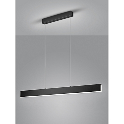 Luminaria colgante NEX IP20, satinado, negro mate regulable