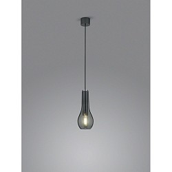 Luminaria colgante GARA de 1 llama E27 IP20, cromo negro regulable