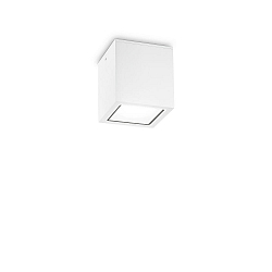 Luminaria de techo para exteriores TECHO cuadrado GU10 IP54, blanco