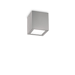 Luminaria de techo para exteriores TECHO GU10 IP54, gris