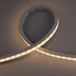 Tira LED completamente siliconada TM1934 WALLWASHER SPI FLEXBAND 6LED/IC blanco