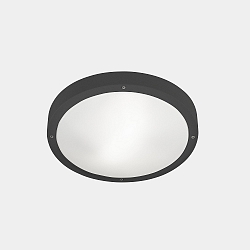 Luminaria de pared y techo BASIC LED IP66