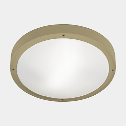 wall and ceiling luminaire BASIC LED IP66