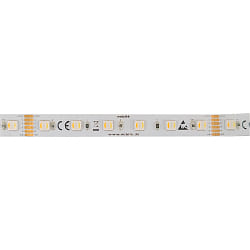 Tira LED 5050 RGB+WW/CW SMD - 5M / 12MM RGBW blanco