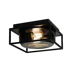 Luminaria de techo para exteriores GRIFFIN E27 IP44, color humo 