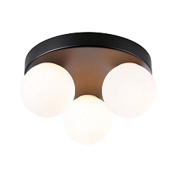 Luminaria de pared y techo GOVE G9 IP44