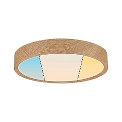 bath luminaire TEGA CCT Switch, switchable IP44, wood, mat 