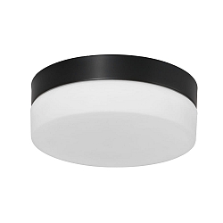 Luminaria de techo para exteriores IKARO redondo, cilíndrico, medio IP44, acero cepillado regulable
