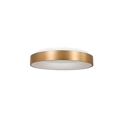 Luminaria de techo RINGLEDE - � 30CM peque�o, redondo, directo / indirecto IP20, dorado mate regulable