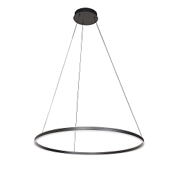 pendant luminaire RINGLUX up / down IP20, black dimmable