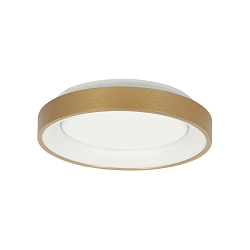 ceiling luminaire RINGLEDE IP20, gold dimmable