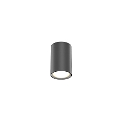 Luminaria de techo para exteriores TRAM 1.0 abajo, cil�ndrico, regulable IP65, antracita mate regulable