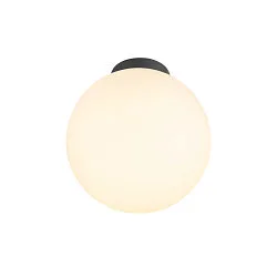 Luminaria de techo SUN 30 redondo E27 IP20, negro regulable