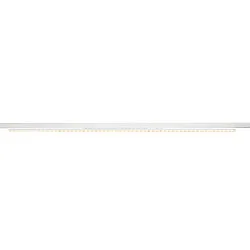 Foco trifásico SIGHT EASY 41-66W DALI rígido, controlable por DALI, asimétrico, multipower IP20, blanco regulable