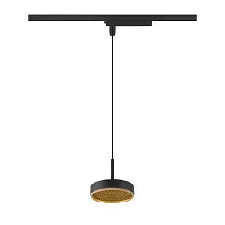 Luminaria colgante de 1 fase GRIP! FLAT abajo, sin pantalla, CCT Switch IP20, dorado, negro regulable
