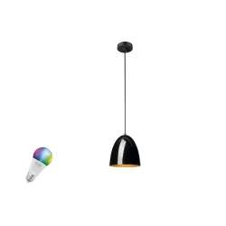 pendant luminaire PARA CONE 20 SMART SET E27 RGBW set of 1, RGBW, with lamp socket E27 IP20, dimmable