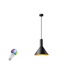 pendant luminaire PHELIA 25 SMART SET PD E27 RGBW, Ø 27.5CM set of 1, RGBW, with lamp socket E27 IP20, gold, black dimmable