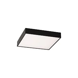 Luminaria de techo OPORTO 3973/40 con difusor IP20, negro