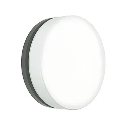 Luminaria de pared y techo TYPE NO 6309 grande, redondo IP65, antracita, ópalo 