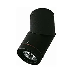 Luminaria de techo para exteriores TYPE NO 2138 giratorio, giratorio GU10 IP44, negro regulable