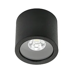 LED Outdoor Ceiling Spot Type No. 2319, IP44, Ø 11cm, 8W 3000K 800lm 30°, swiveling 30°, black matt