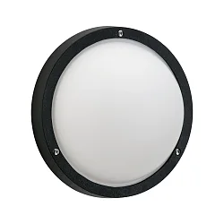 outdoor wall luminaire TYPE NO 6328 IP44, opal, black dimmable