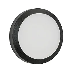 Luminaria de pared para exteriores TYPE NO 6420 IP54, negro regulable