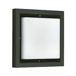 Luminaria de pared para exteriores TYPE NO 6422 IP54, ópalo, negro regulable