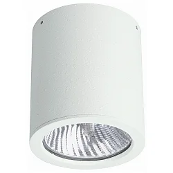Luminaria de techo para exteriores TYPE NO 2130 rígido E27 IP44, blanco regulable