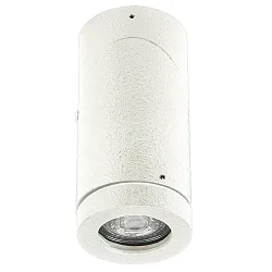 Luminaria de techo para exteriores TYPE NO 2138 giratorio, giratorio GU10 IP44, blanco regulable
