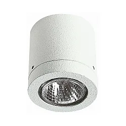 Luminaria de techo para exteriores TYPE NO 2140 rígido GU10 IP23, blanco regulable
