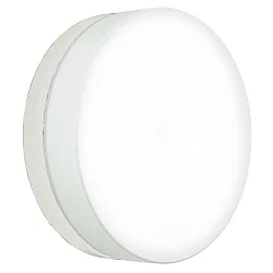 Luminaria de pared y techo TYPE NO 6309 grande, redondo IP65, ópalo, blanco mate 