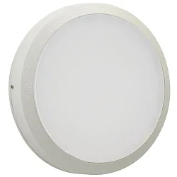Luminaria de pared para exteriores TYPE NO 6420 IP54, blanco regulable