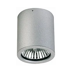 Luminaria de techo para exteriores TYPE NO 2130 rígido E27 IP44, plata mate regulable