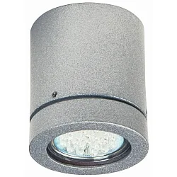 Luminaria de techo para exteriores TYPE NO 2140 rígido GU10 IP23, plata mate regulable