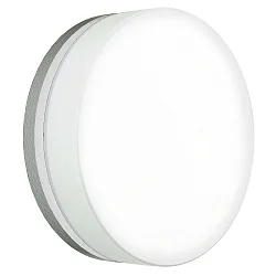 Luminaria de pared y techo TYPE NO 6309 grande, redondo IP65, ópalo, plata mate 