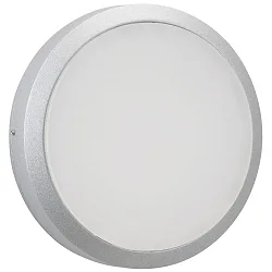 Luminaria de pared para exteriores TYPE NO 6420 IP54, plata regulable
